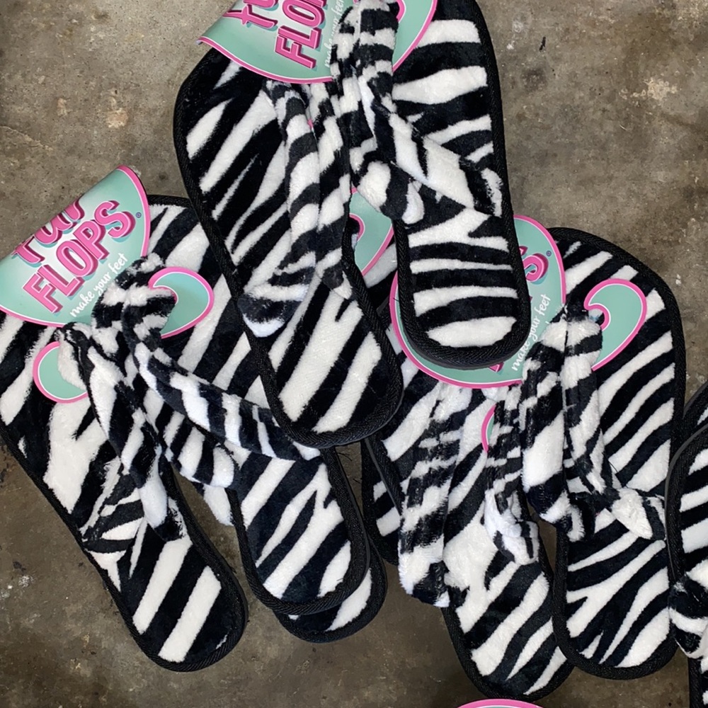 Zebra 🦓
